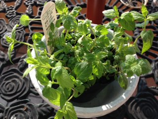 ハーブで簡単サシェ作り ハーブティー教室とハーブティー販売の旭川あぴーるauauは北海道からハーブをお届け